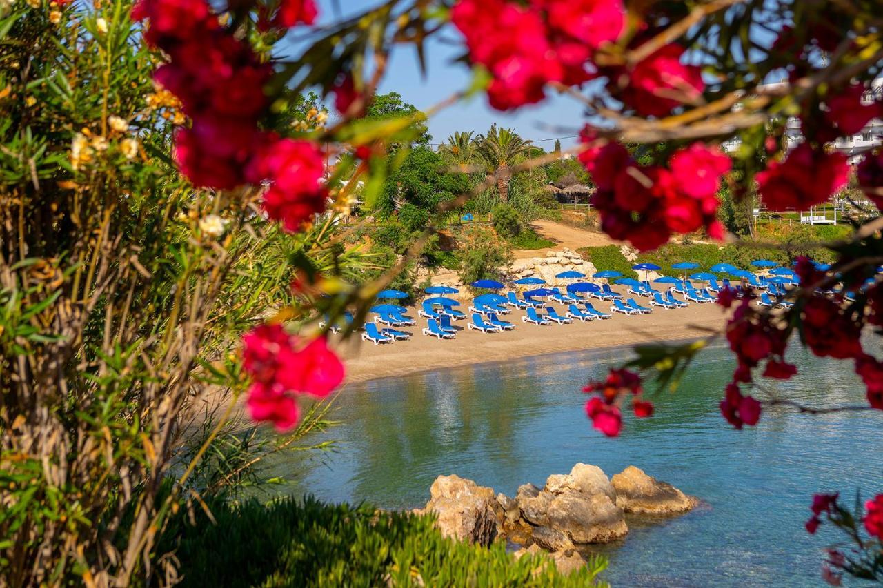 Crystal Springs Beach Hotel Protaras Exterior photo